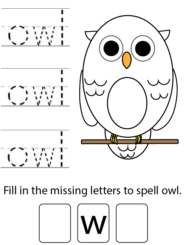 owl worksheet